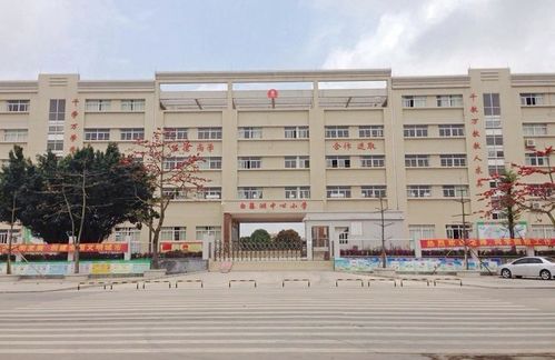 買房指南 湖心新城教育大盤點 值得收藏