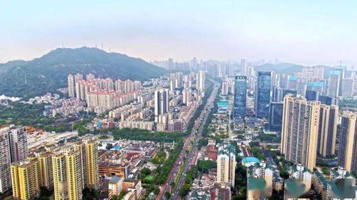 不踩坑 外地人在珠海買房必備指南,別再買錯了